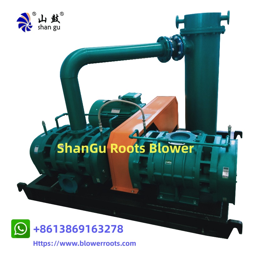 Galvanized process roots blower